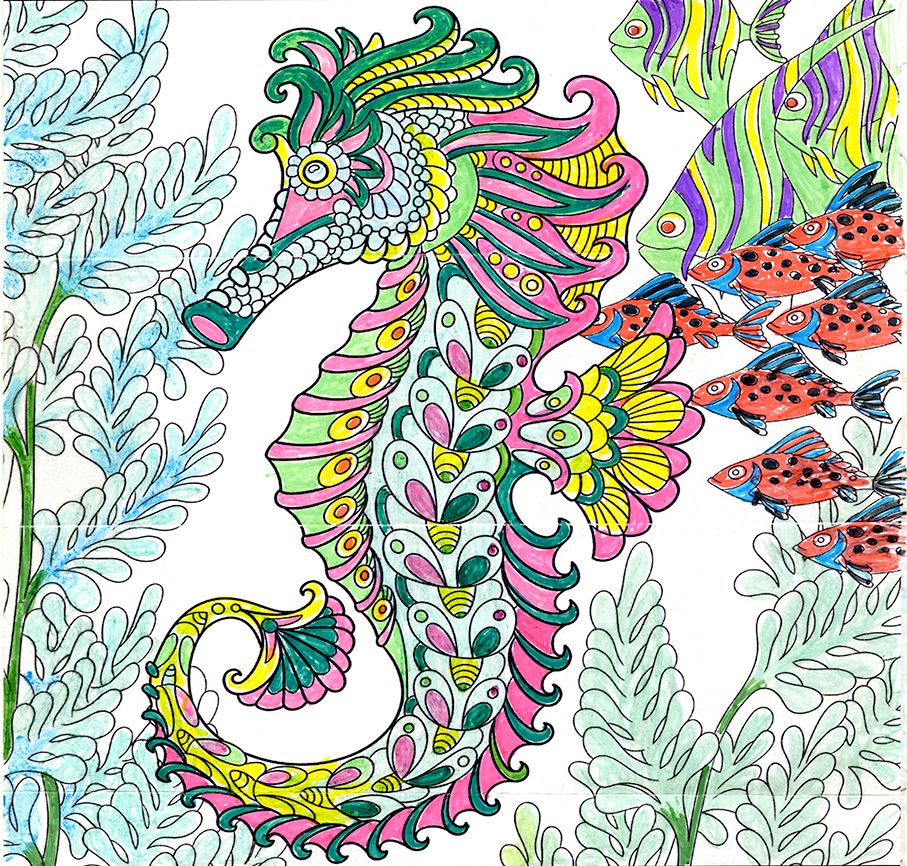 Seahorse colored by Sally A. Cianek, Bay City, Michigan