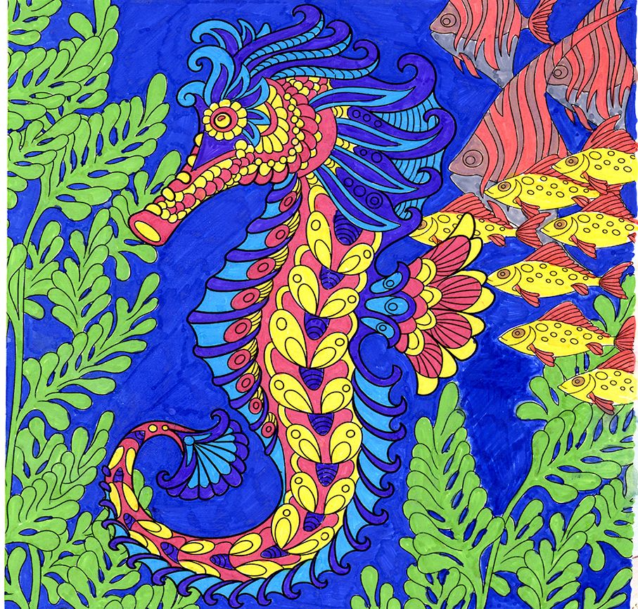 Seahorse colored by Alexandra Reynolds, Elkins Park, Pennsylvania