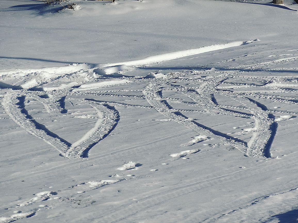 Two snowy hearts