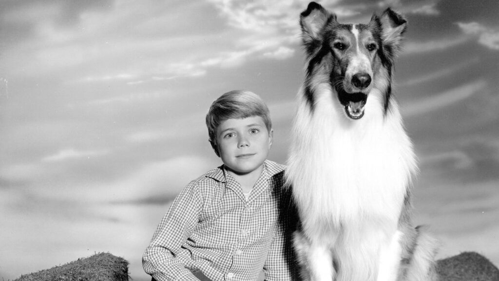 Lassie