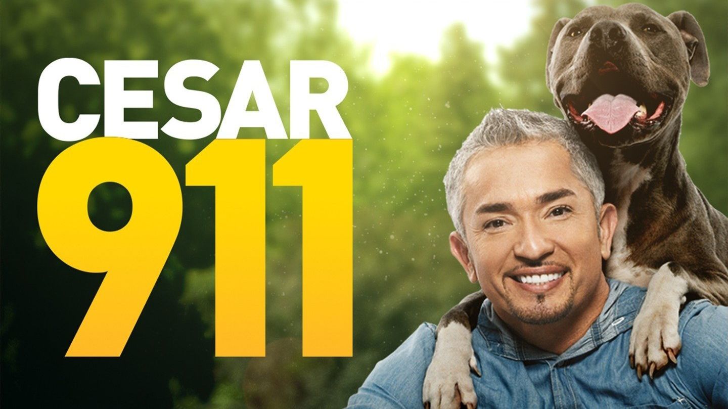 Cesar 911 poster