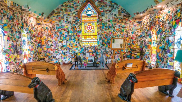 Dog Chapel: A Sanctuary of Loving Pet Memories