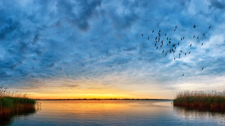 Sunset view over Danube river.