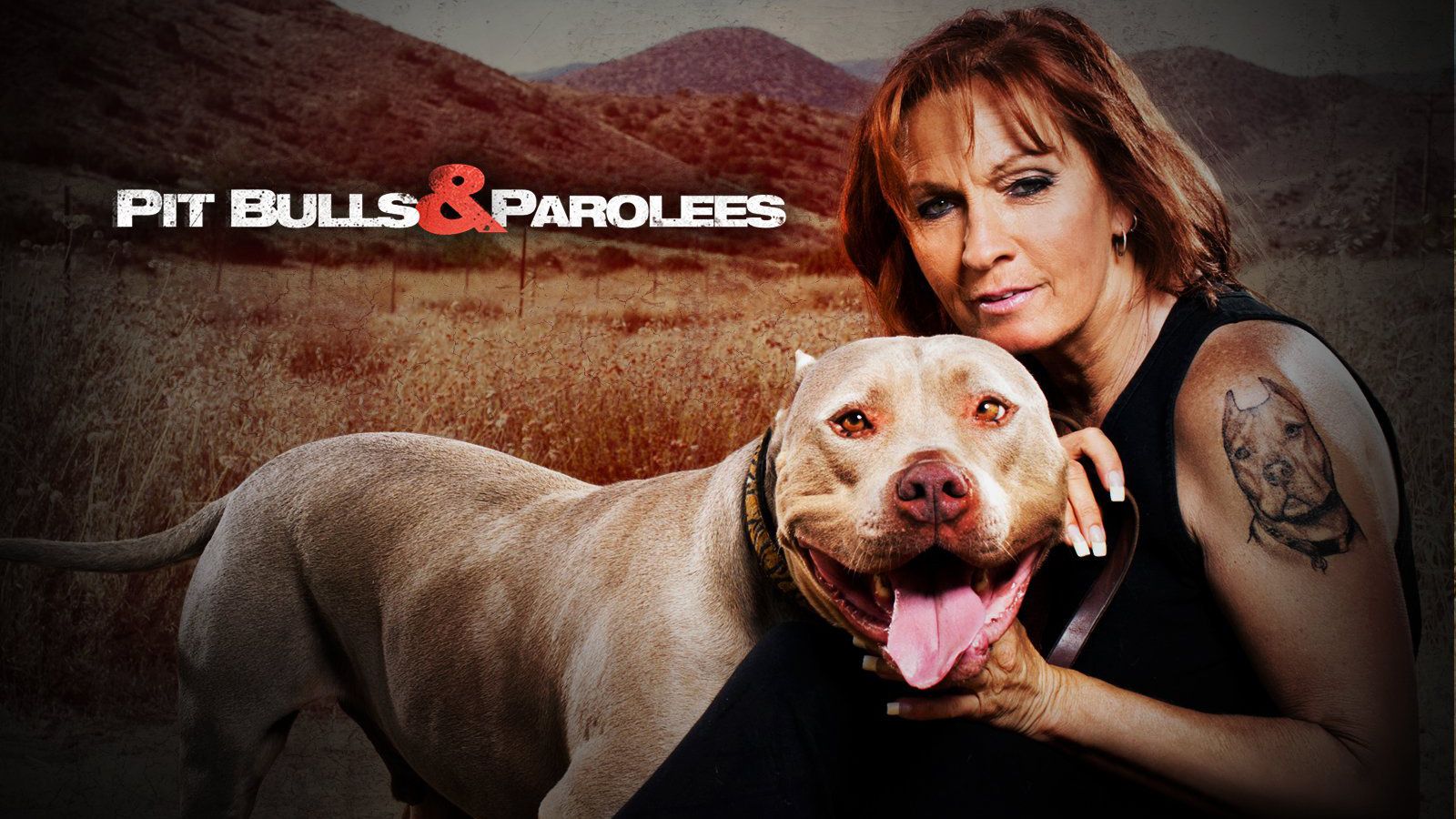 Tia Torres of Pit Bulls and Parolees