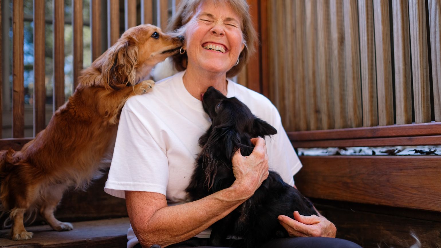 Amy's doggie day-care clients love the agenda for the day.