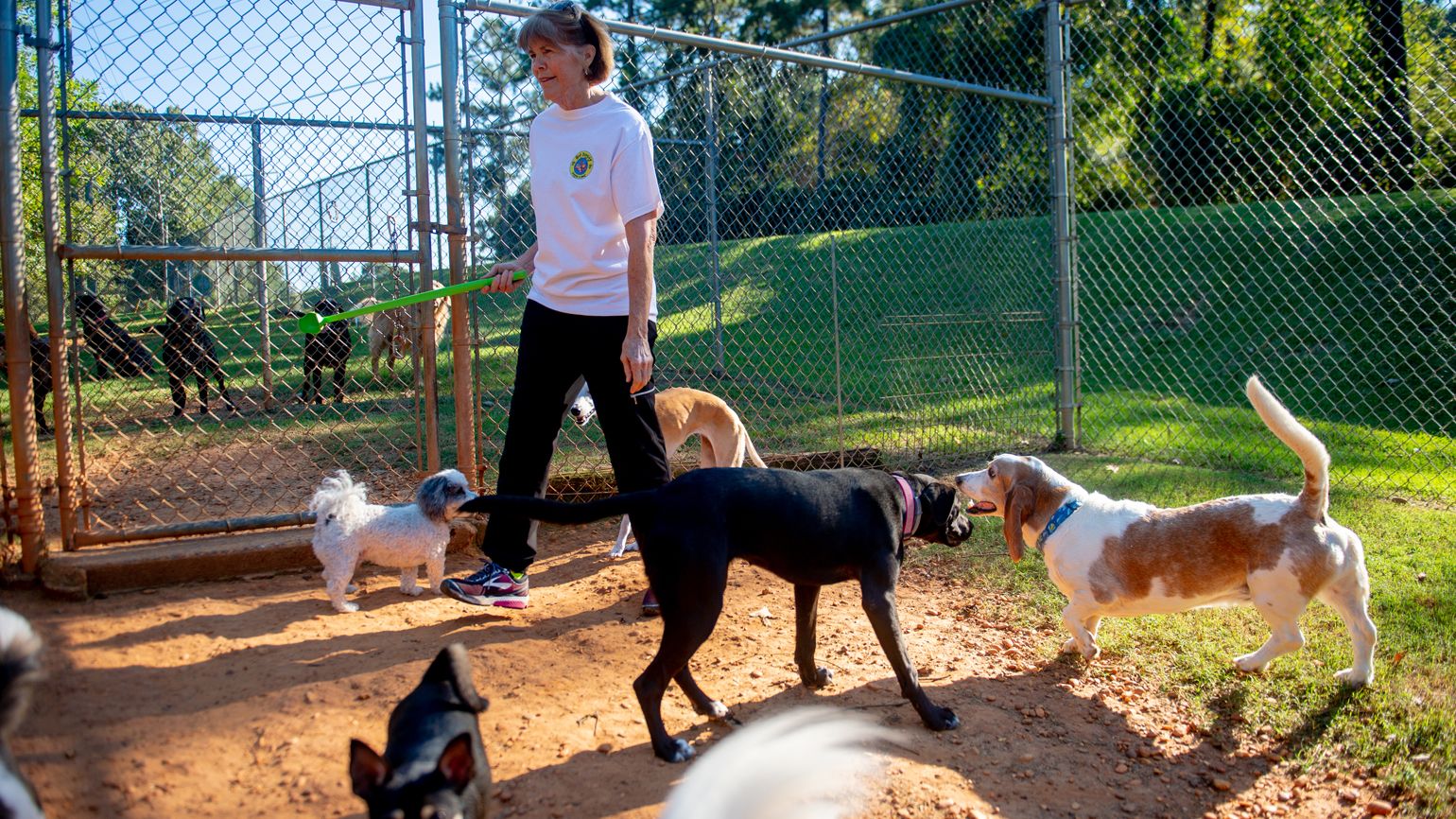 dog-daycare-guideposts-004_copy