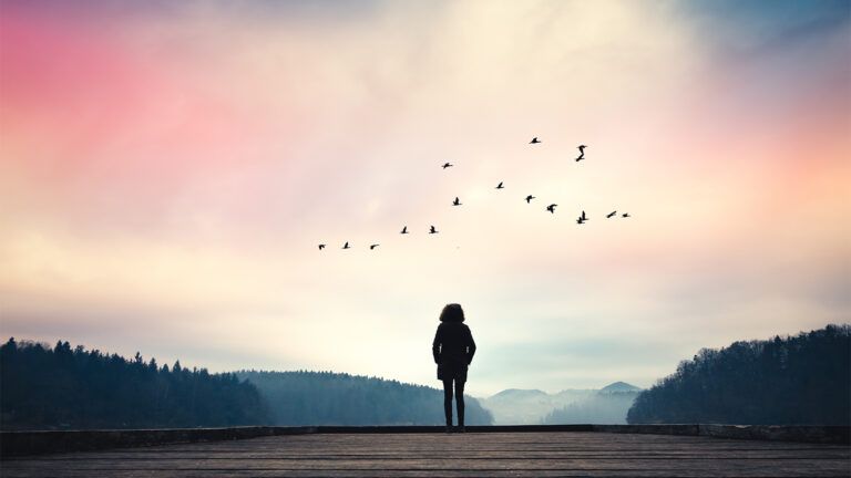 A woman watches birds in flight from a pier on a lake