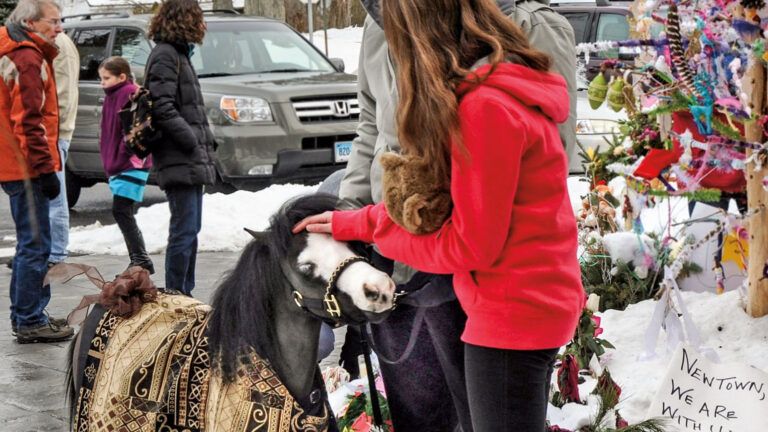 Celebrating 10 Years of Magic, The Therapy Horse