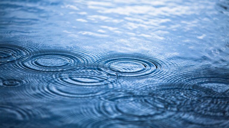 Spring raindrop in a puddle