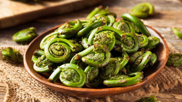 Fiddleheads