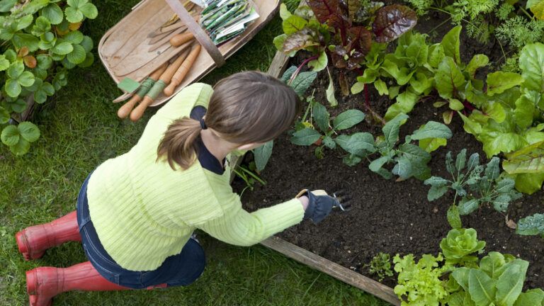 Declutter your garden.