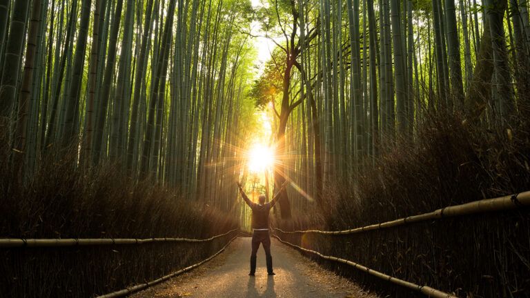 A man stands alone in a dimly lit bamboo forest