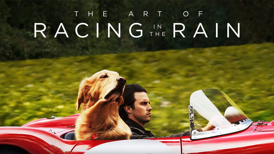 The Art of Racing in the Rain poster