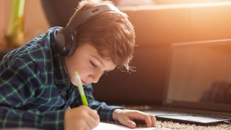 Boy learns at home on the computer