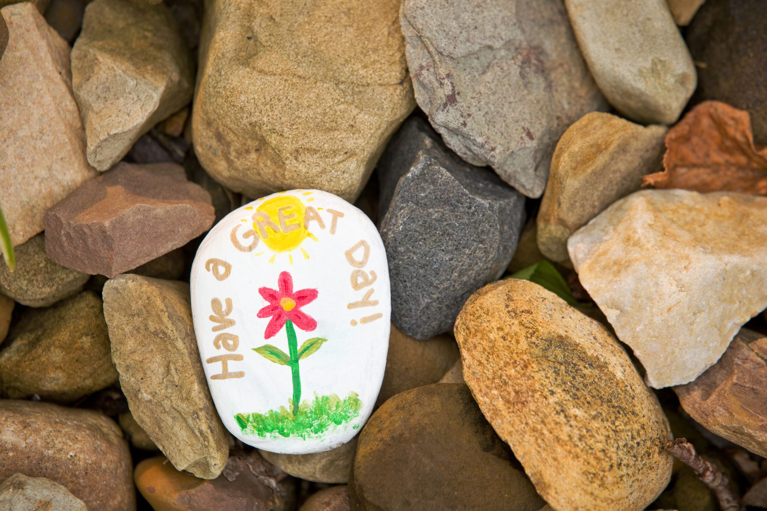 Painted rock