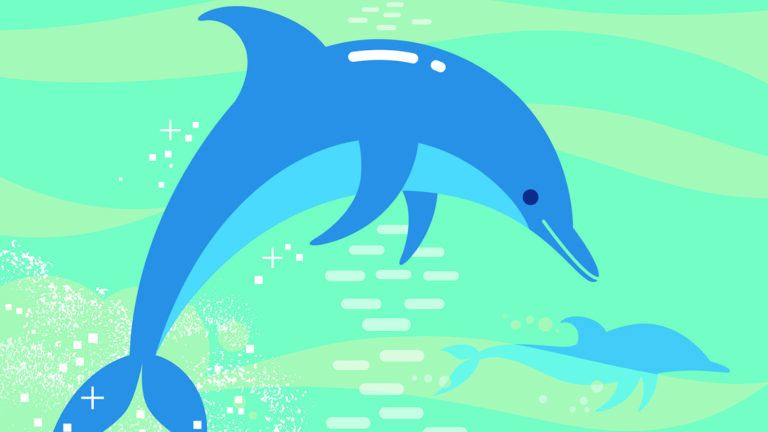 Illustration of a dolphin