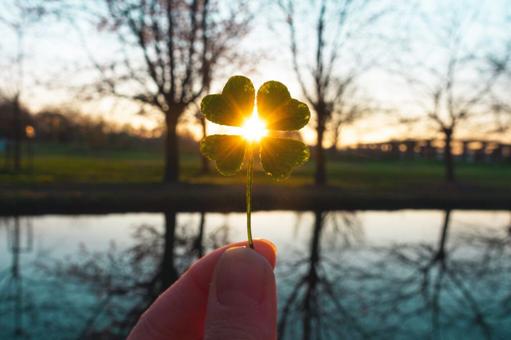 Four-Leaf Clover