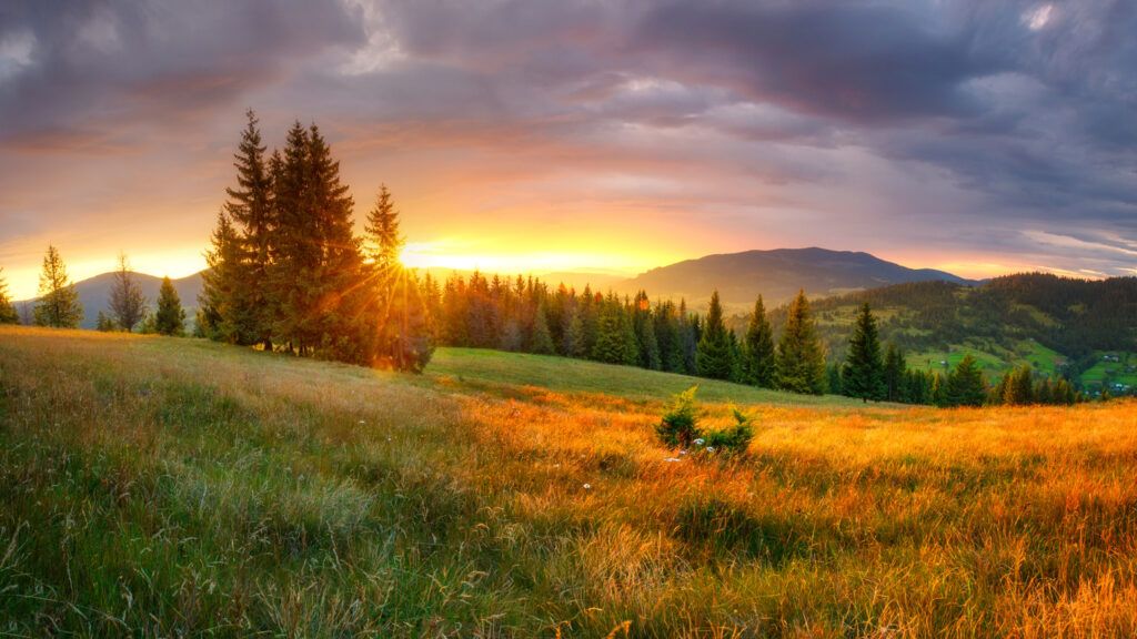 Field landscape with sunlight