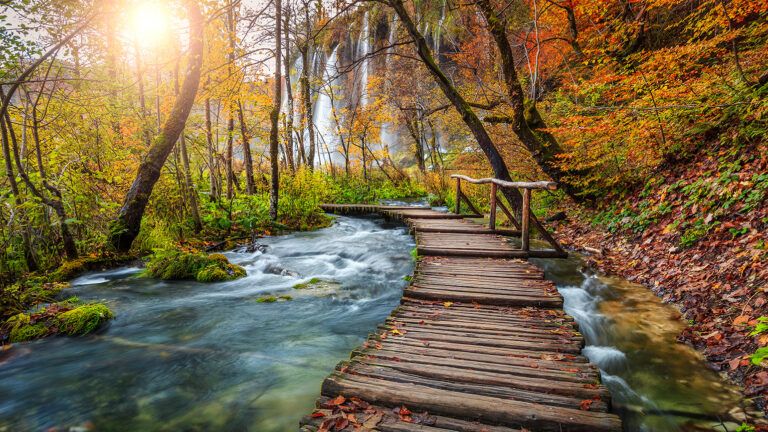 A mountain stream in autumn