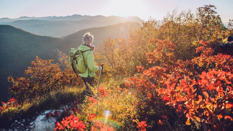 Hiker on a mountain