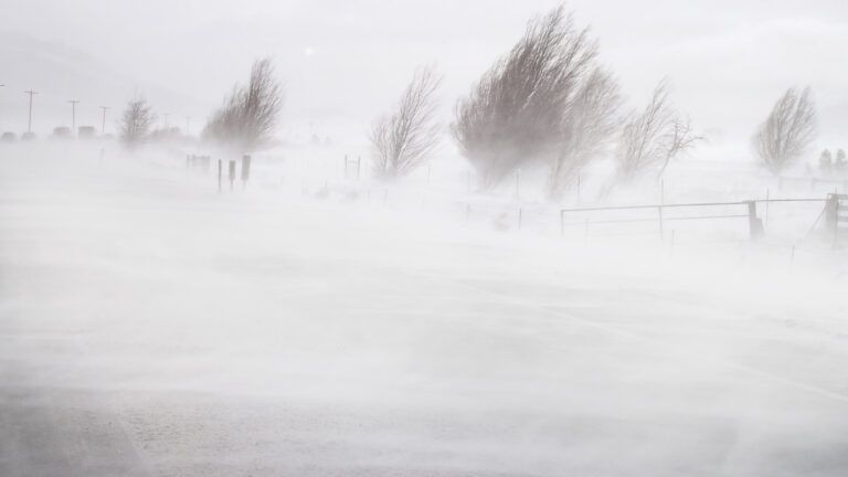 Blizzard; Getty Images