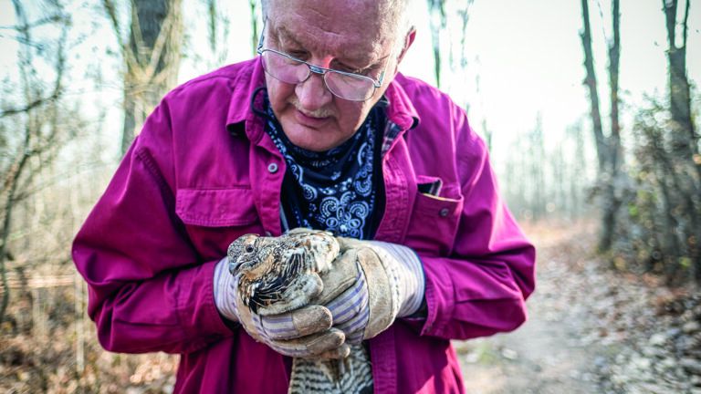 Bob Flach holds Lulu the ruffed grouse