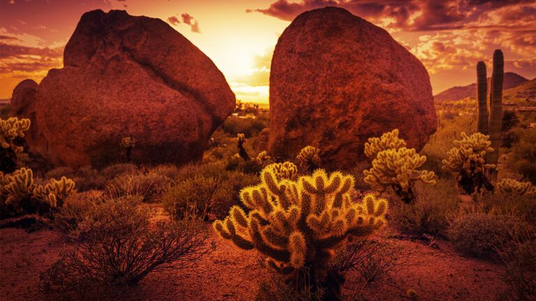 Desert at sunset