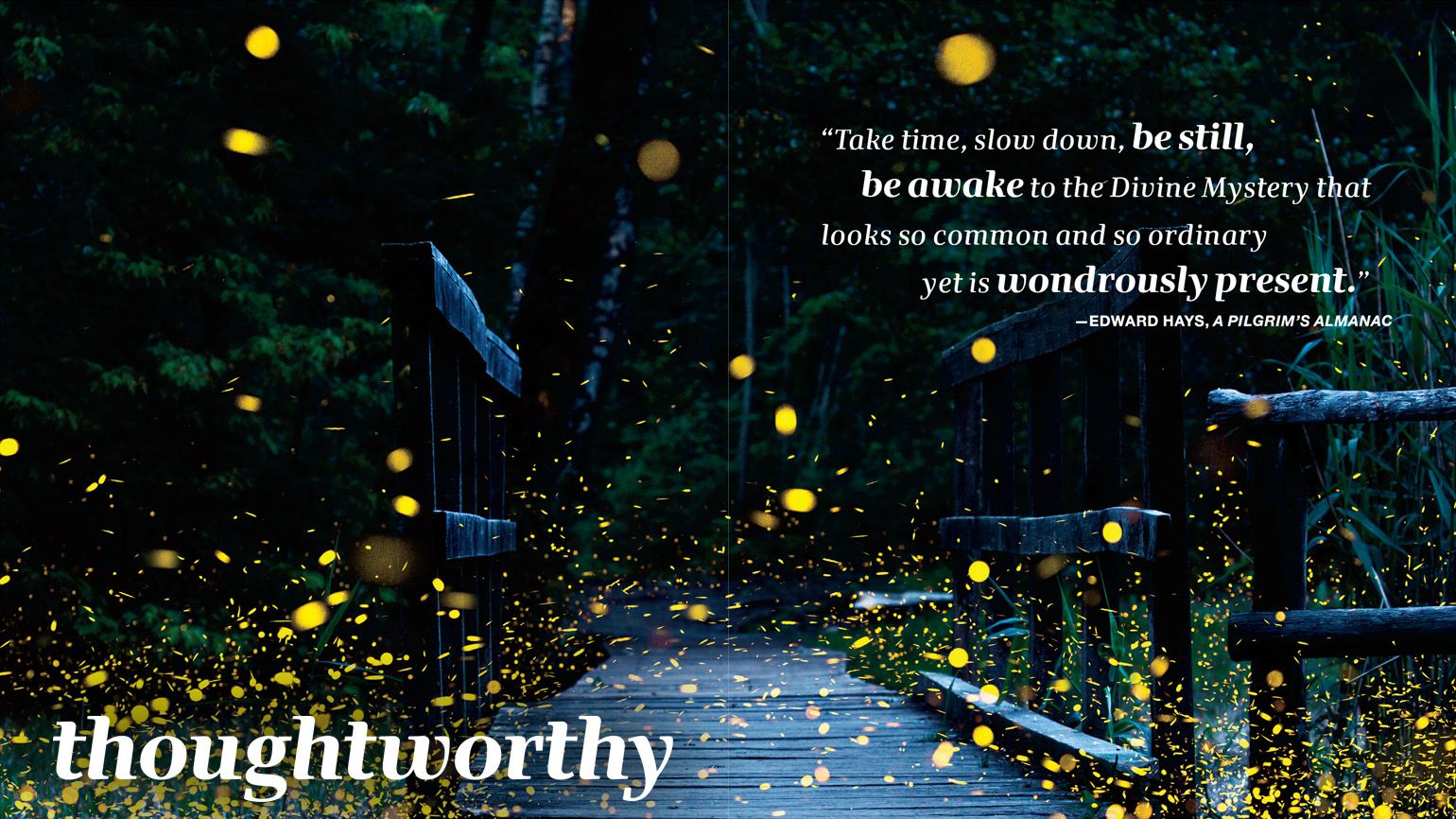 Fireflies on a summer night in a natural reserve in Switzerland. Photo credit: Diana Radicchi/Getty Images/iStockphoto