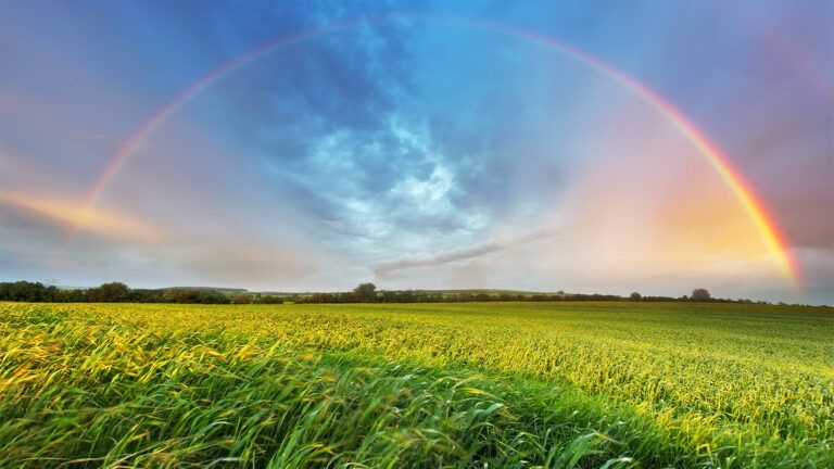 Rainbow over green fields