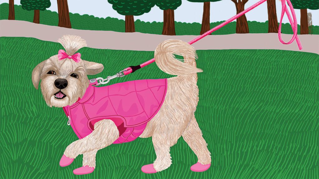 An artist's rendering of Velma on a walk; illustration by Jackie Besteman