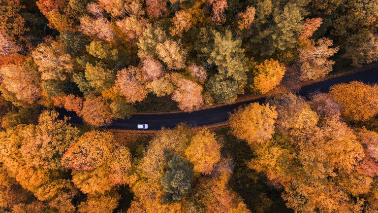 Car driving down a country road