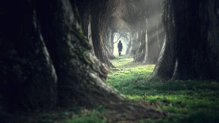 A woman in a dark forest