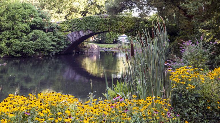 Gapstow Bridge in Central Park