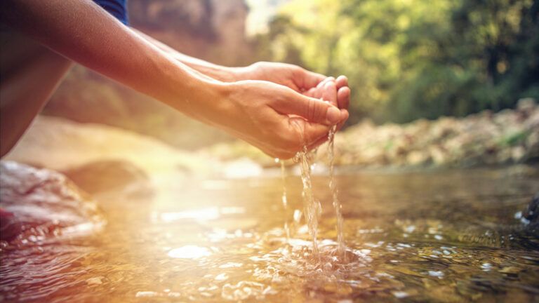 Cupped hands dip water from a stream