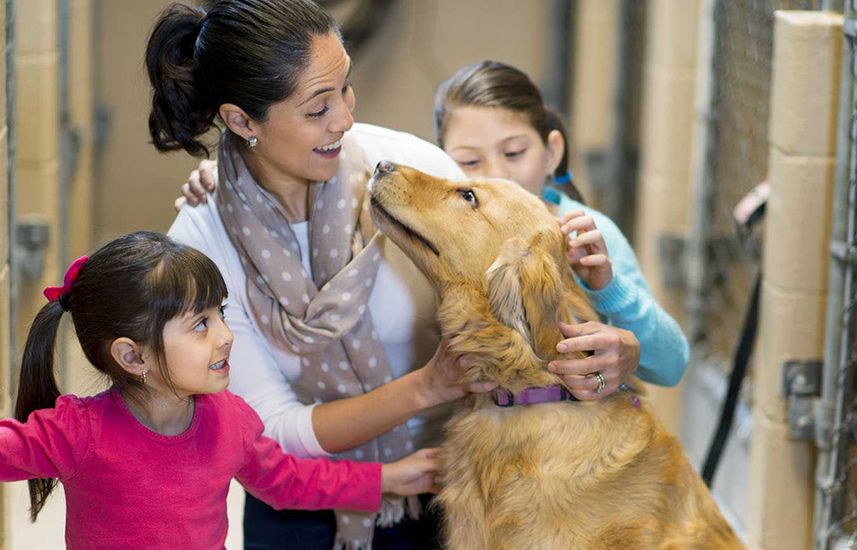 Family petting a rescue dog