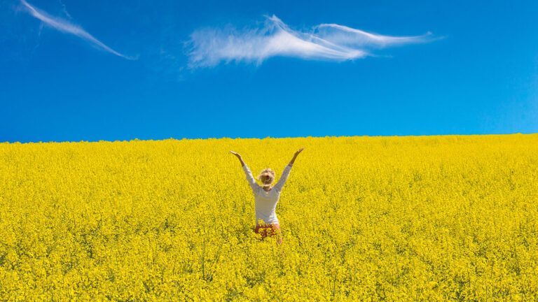 A woman in a field of yellow flowers