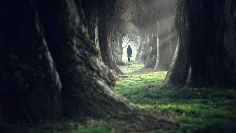 Woman in a forest