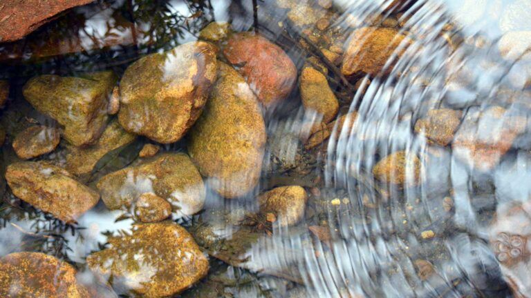 Stones in a stream