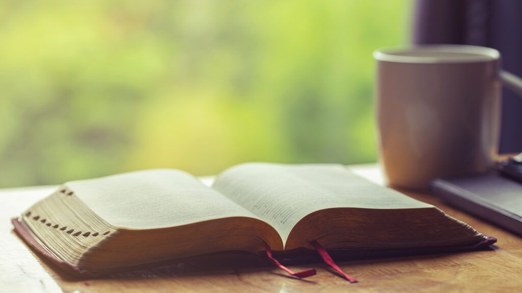 An open Bible by a window