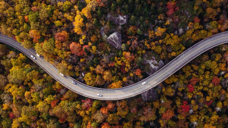 Aerial view of a winding road