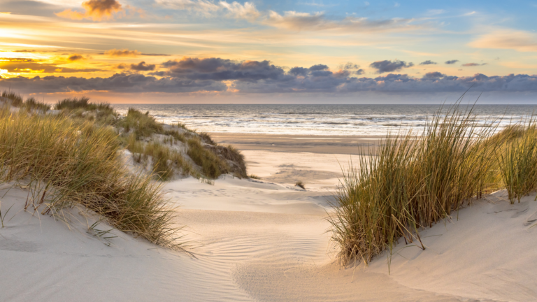 Beach scene; Getty Images