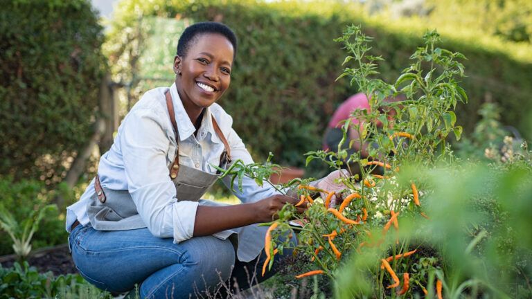 Moving on the garden