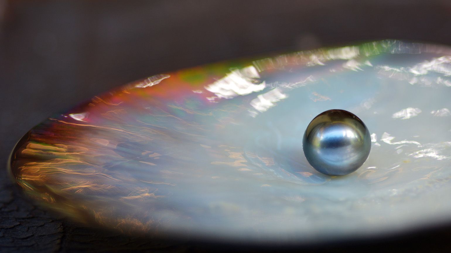 Tahitian black pearl in oyster shell; Getty Images