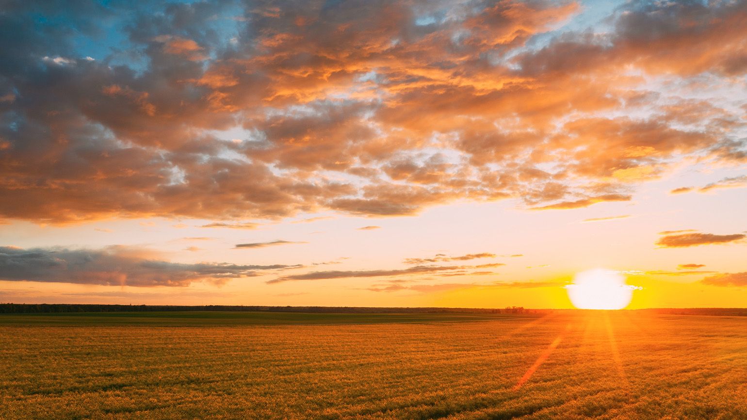 Sun rising across a farm field; Getty Images