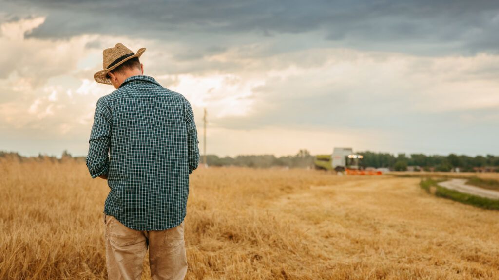 Farmer surveying fields