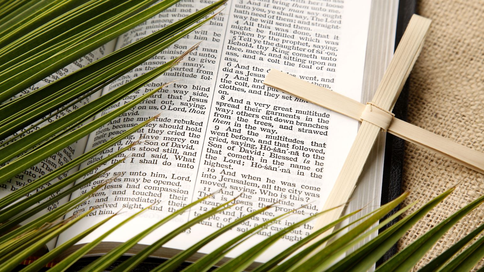 Palm Sunday In The Bible 15 Palm Sunday Scriptures Guideposts