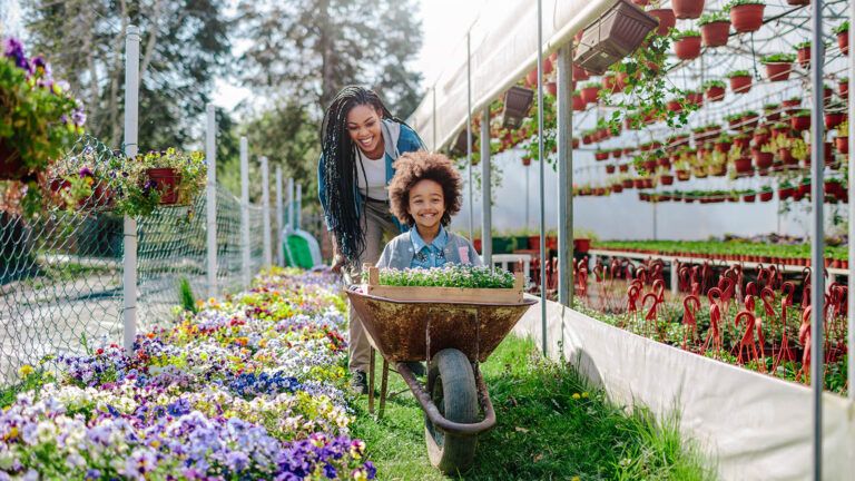 Mother pushes her daughter in a wheelbarrow to their spring activities